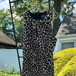 Anthropologie 4petite Leopard print dress